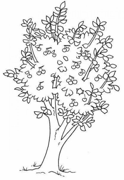 Раскраска цветущие деревья