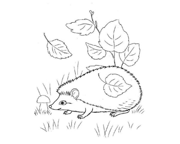 Раскраска Ежик осенью