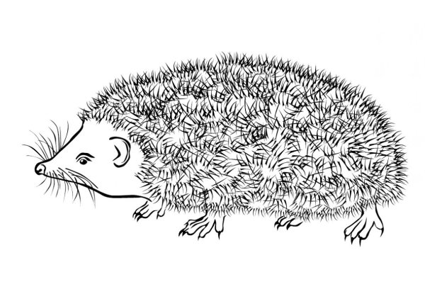 Раскраска Ёжик