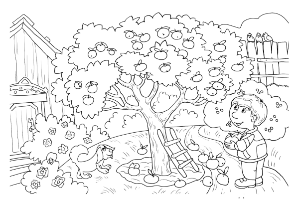 Сады. Раскраска