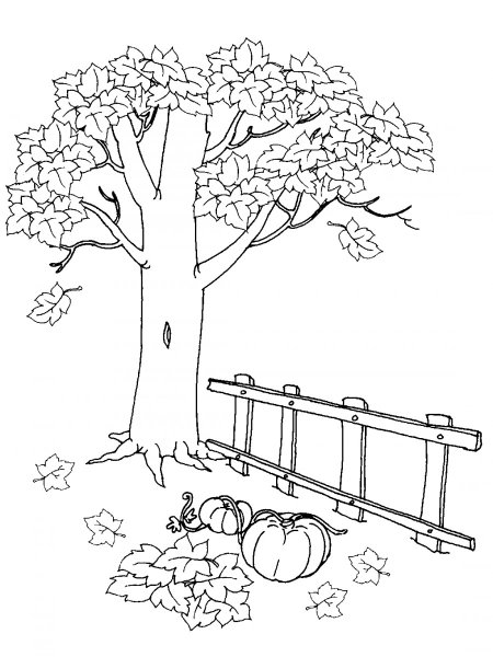 Эскиз рисунка на тему осень