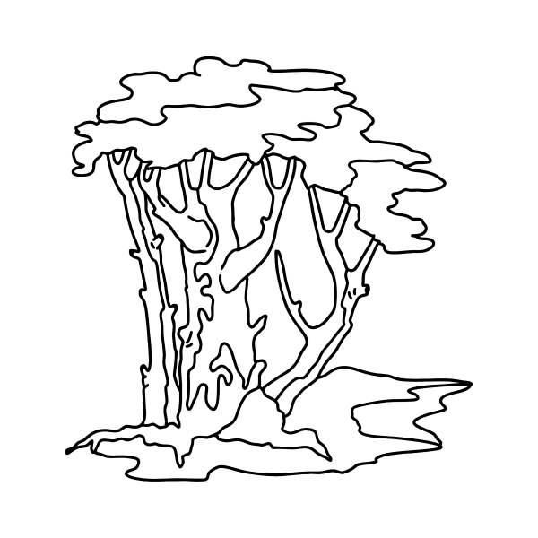 Лист сосны раскраска