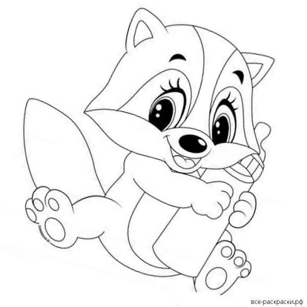 Енот раскраска