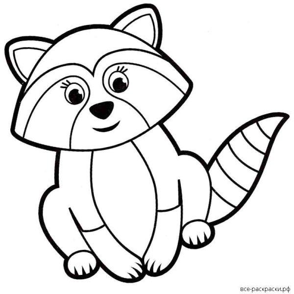 Раскраска Енотик