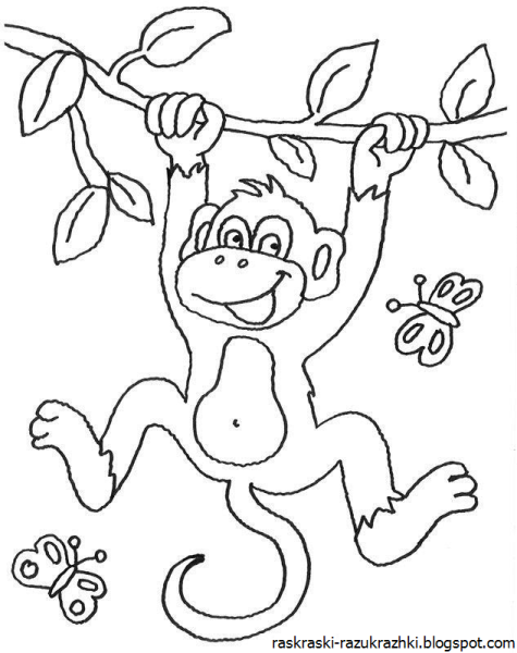 Обезьяна раскраска