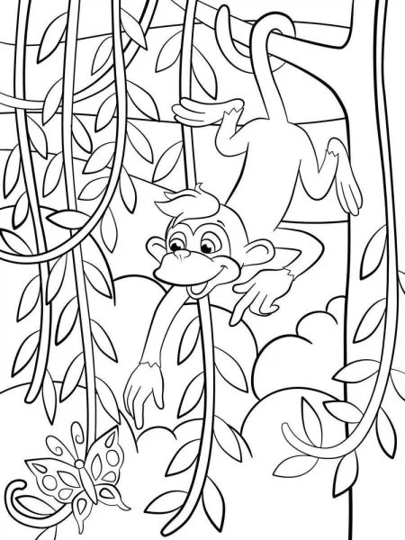 Обезьянка на Пальме раскраска