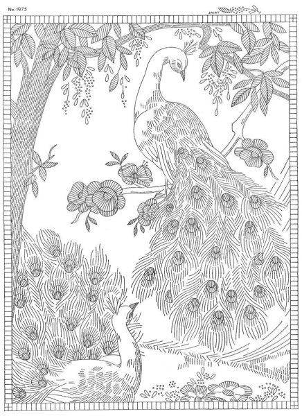 Павлин раскраска с узорами