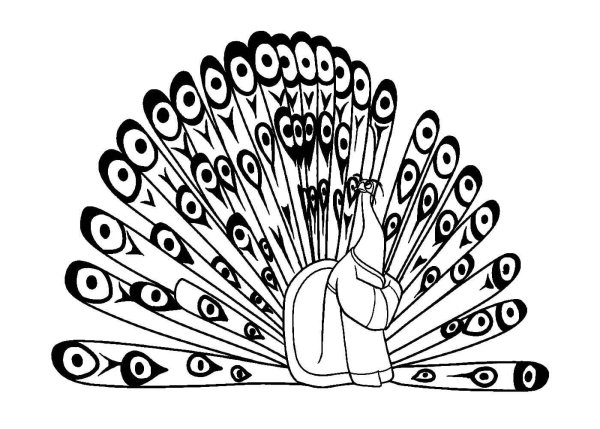 Раскраска кунг фу Панда Павлин