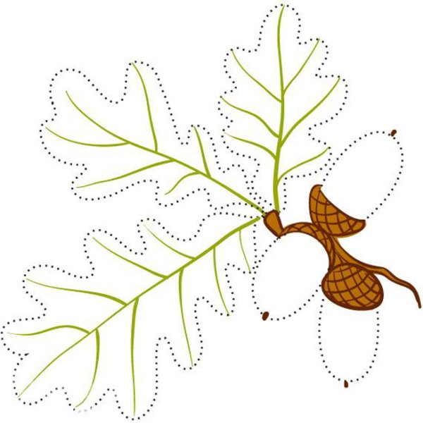 Деревья и листья задания для дошкольников