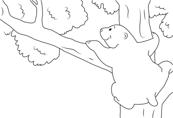 Лазить раскраска