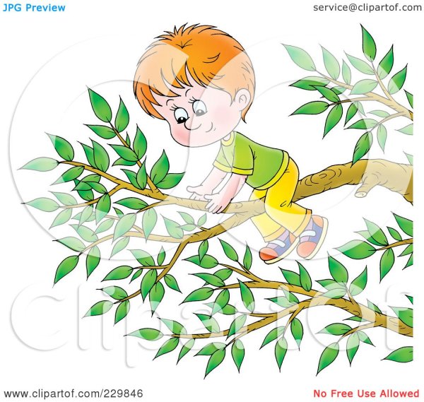 Дети ломают ветки