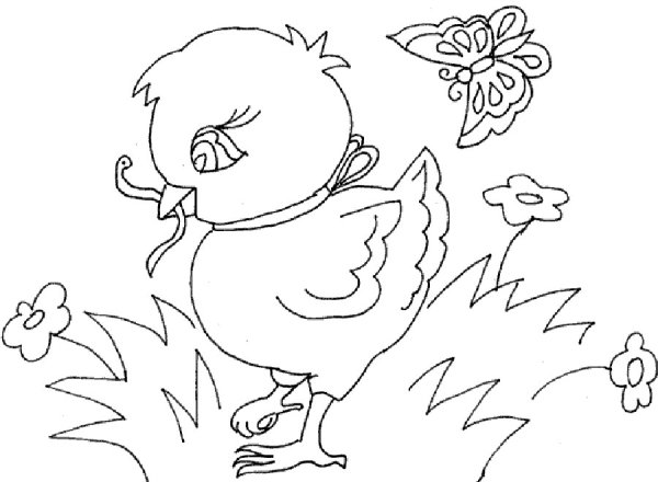 Цыпленок. Раскраски