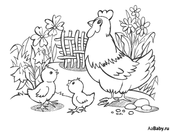 Курочка с цыплятами раскраска