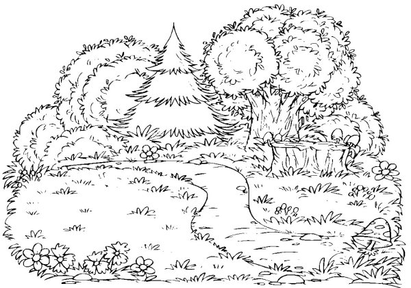 Раскраска Лесная Поляна