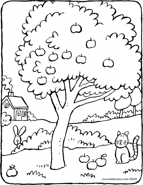 Сады. Раскраска