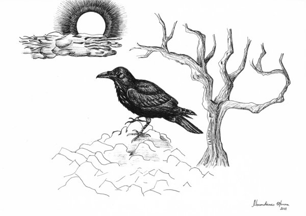 Черный ворон на строгу