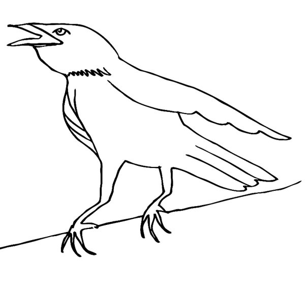 Житков Галка раскраска