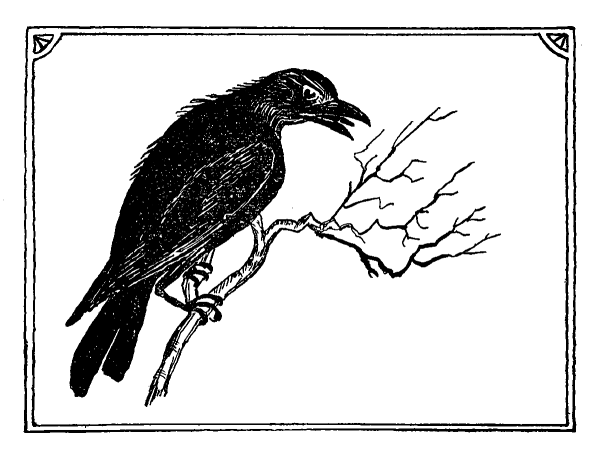Ворона на ветке раскраска