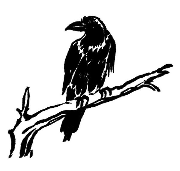 Ворона на ветке раскраска