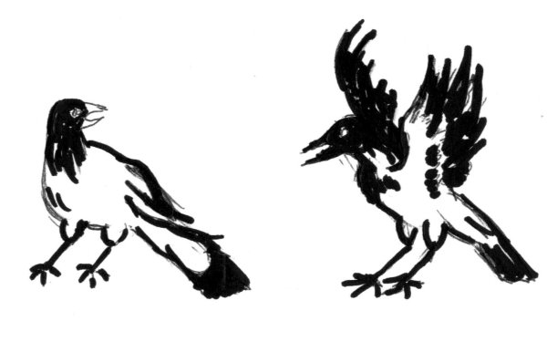 Ворона рисунок для детей раскраска