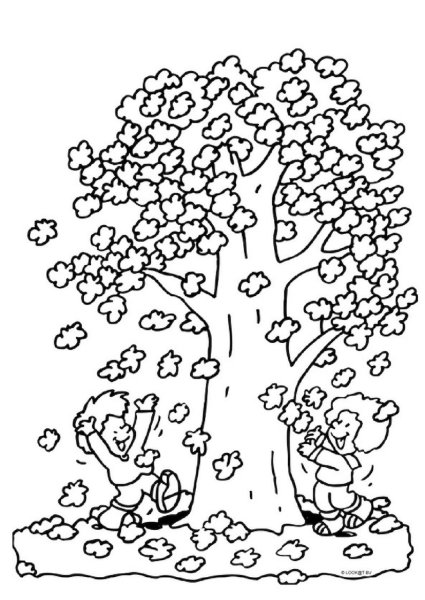 Осеннее дерево для раскрашивания