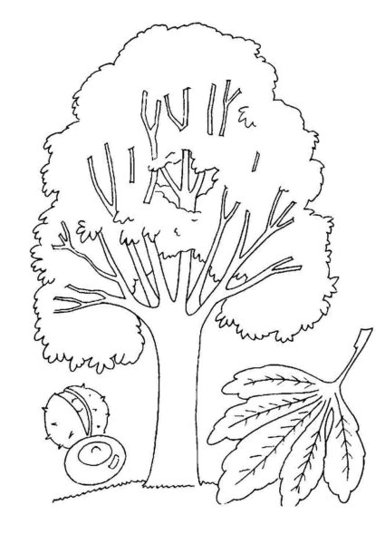 Дерево для раскрашивания для детей