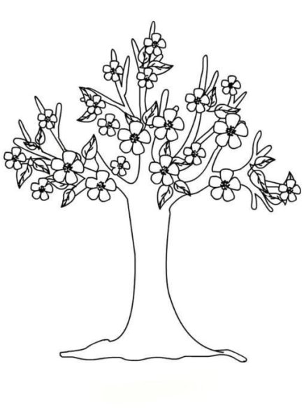 Весеннее дерево раскраска