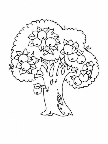 Дерево яблоня раскраска