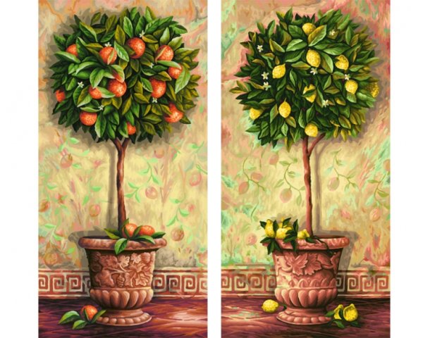 Шиппер лимонное дерево