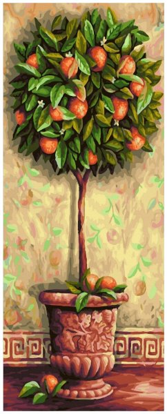 Шиппер апельсиновое дерево