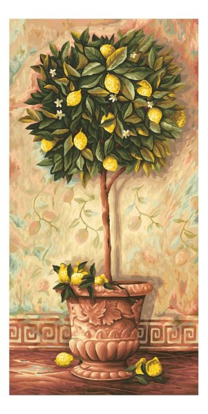 Шиппер лимонное дерево