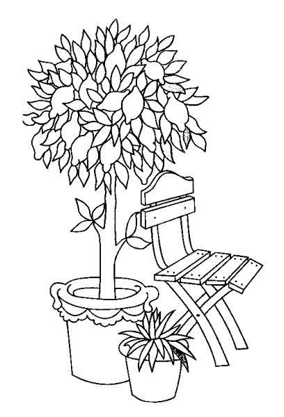 Деревья цветы для раскрашивания