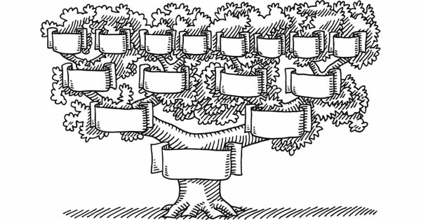 Родовое дерево черно белое