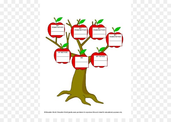Родословное дерево рисунок
