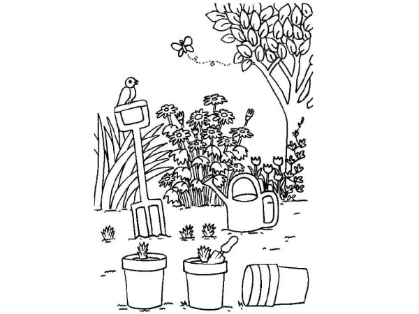 Сады. Раскраска