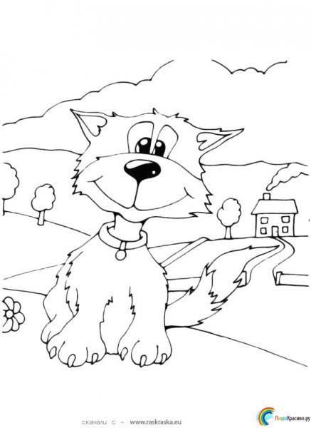 Раскраска котик в домике