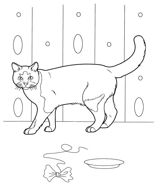 Раскраска домашняя кошка