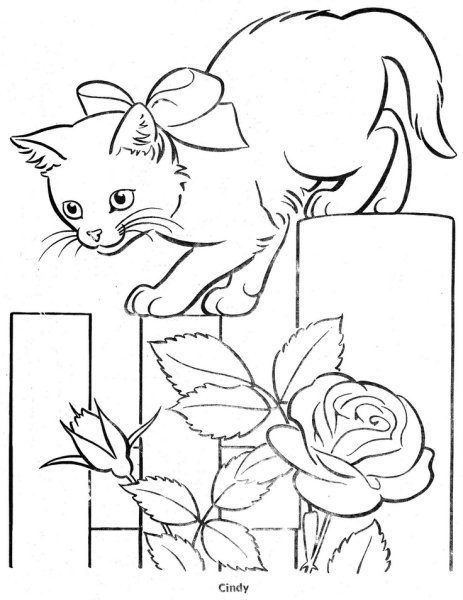 Кошечка с цветами раскраска