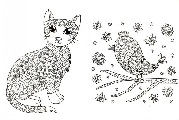 Раскраски для взрослых