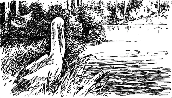 Паустовский пришвин Мещера