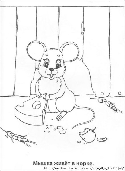Мышка в норке раскраска