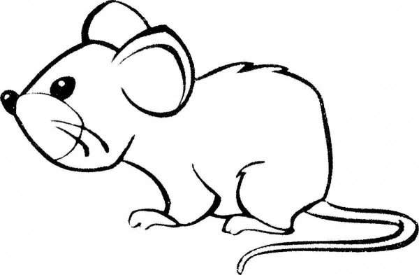 Мышка раскраска для малышей