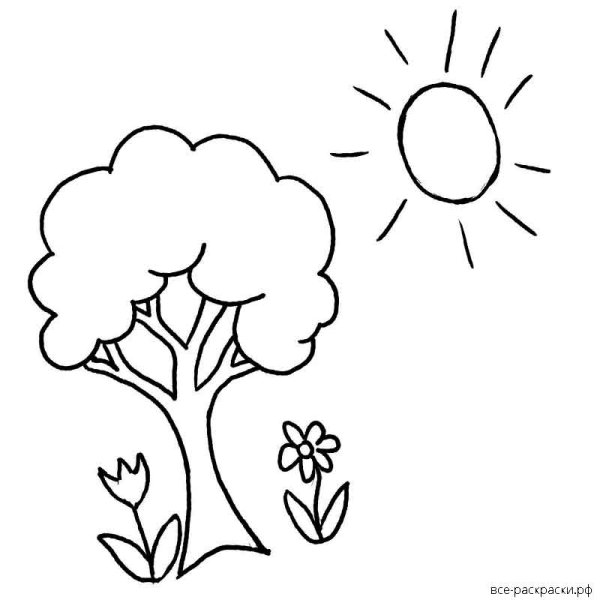Раскраски деревья и кустарники для детей 2-3 лет