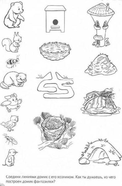 Жилища диких животных задания для дошкольников