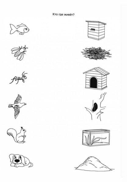 Жилища животных задания для дошкольников