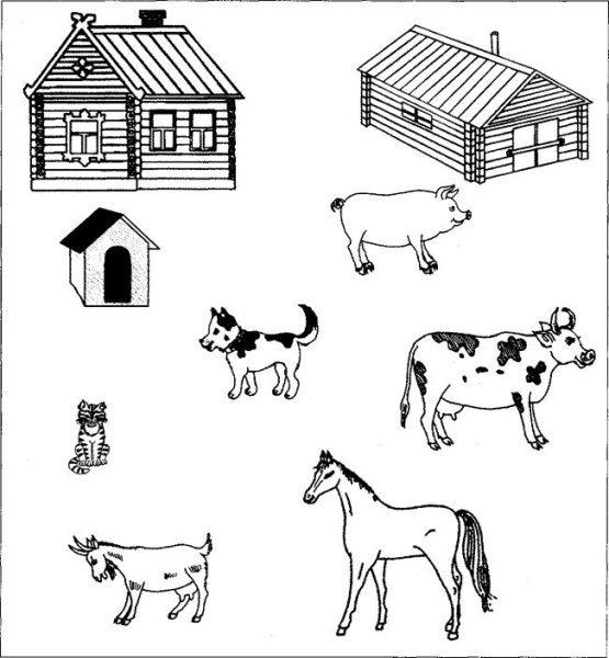 Домашние животные задания