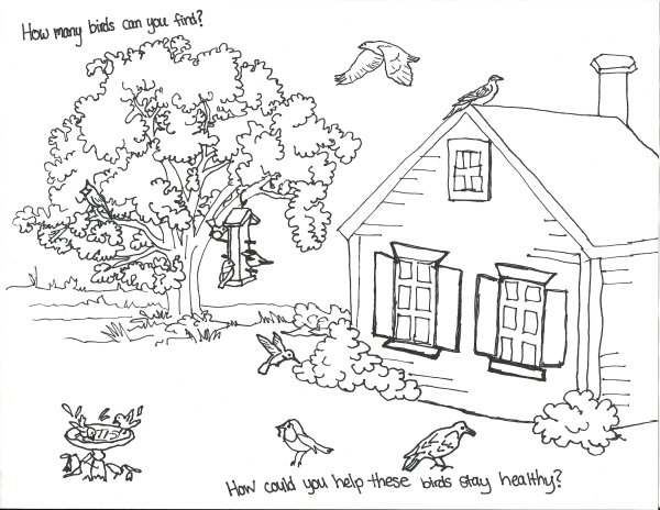 Во дворе. Раскраска