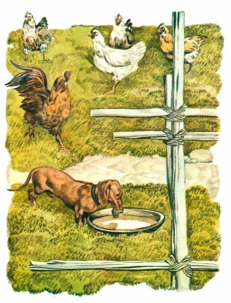 Жильцы старого дома Паустовский рисунок