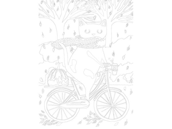Пейзаж раскраска с велосипедом