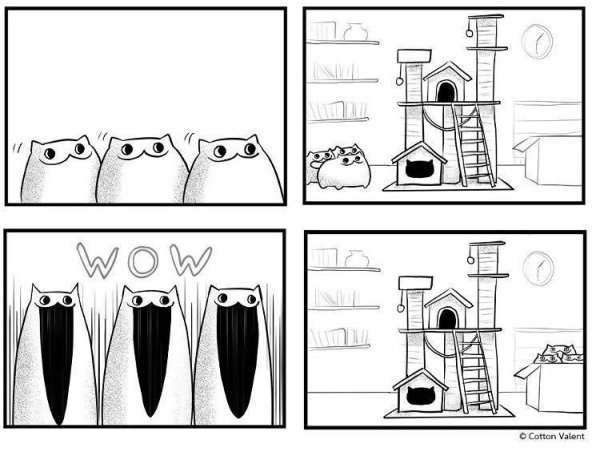 Кошка в доме раскраска